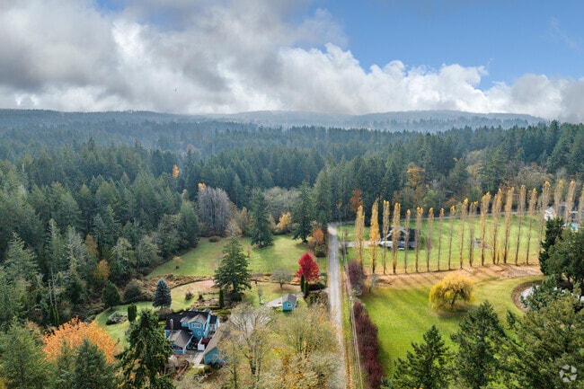 Rosedale is densely forested with pine trees offering privacy amongst residents.