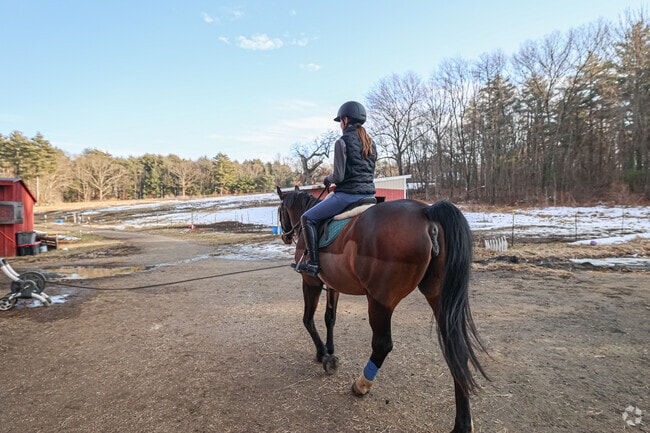There's always plenty to do around Westborough, such as horseback riding.
