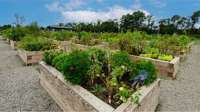 Collection Hopewell Amenity Community Garden