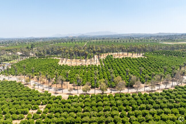 The Historic Citrus State Park sits at the heart of Riverside, adjacent to Arlington.