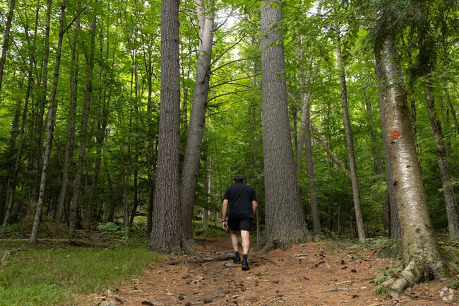 Hackensack Mountain Trail, in Warrensburg, climbs 700 feet to sweeping Adirondack views.