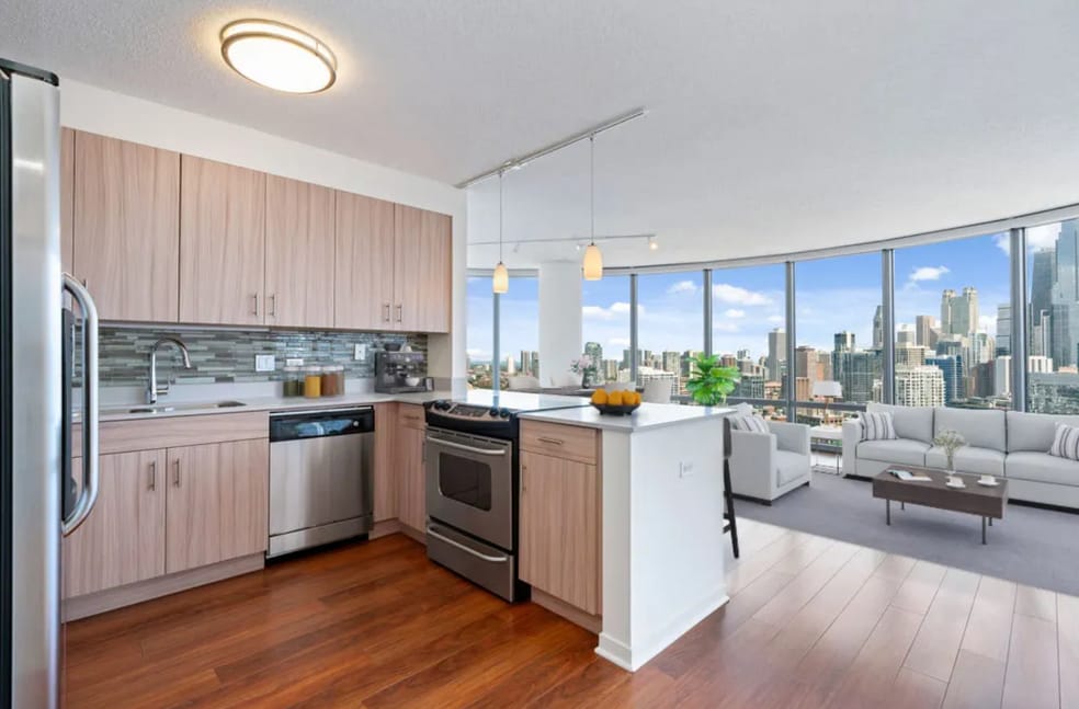 Admirals Pointe unit 4007, Chicago, IL 60654 - photo 1