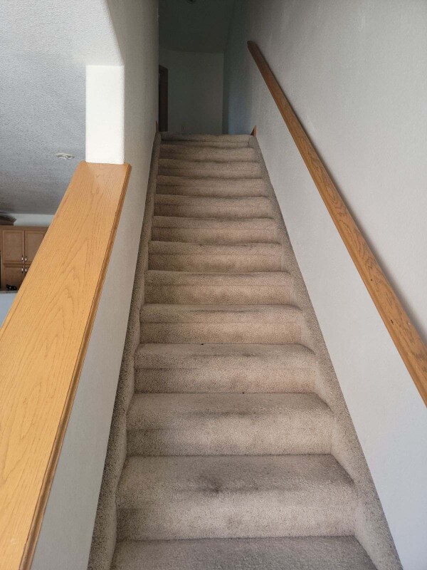 7367 Carlin Grove, Fountain, CO 80817 - photo 6