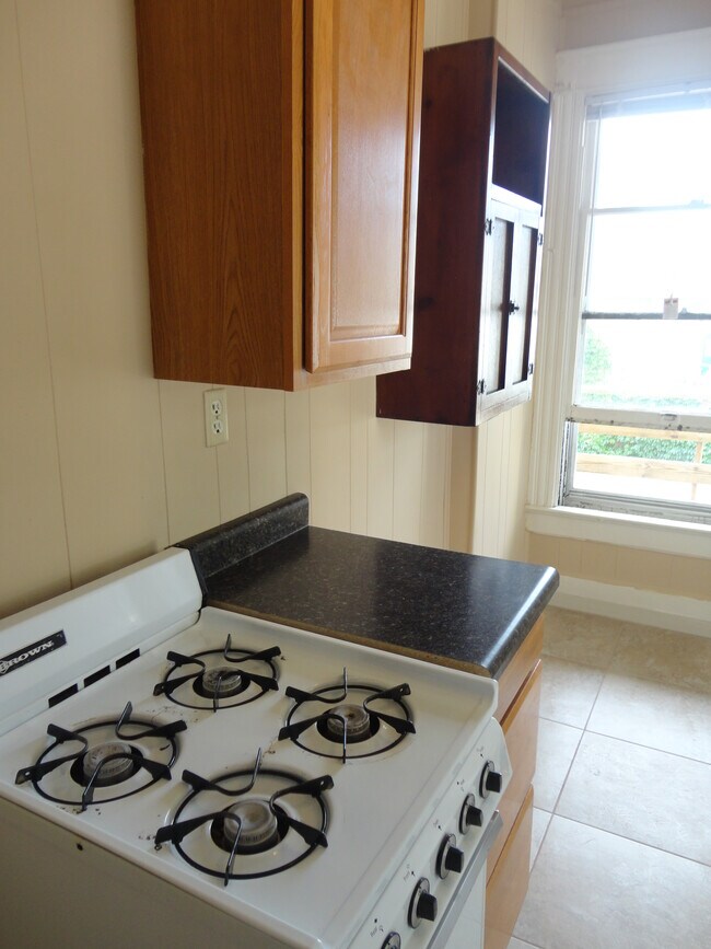 213 E Mulberry St unit 2, Bloomington, IL 61701 - photo 5