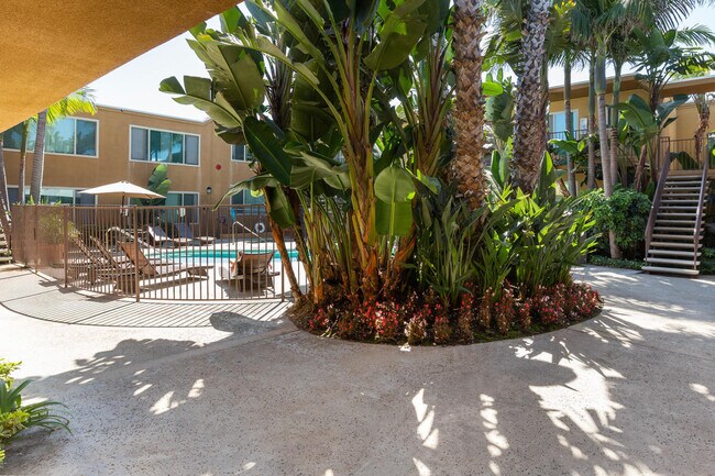 Elan Coco Palms, San Diego, CA 92107 - photo 3