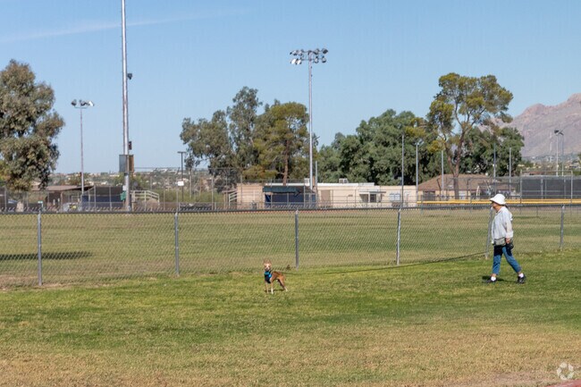 Taking a walk with your furry friends at Fort Lowell Park is a common daily activity for most.
