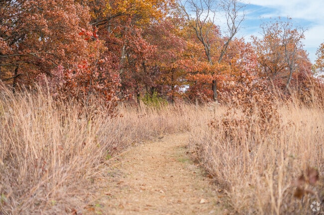 Just south of Lake Village, Conrad Savanna Nature Preserve is a 360-acre sand savanna featuring winding trails.