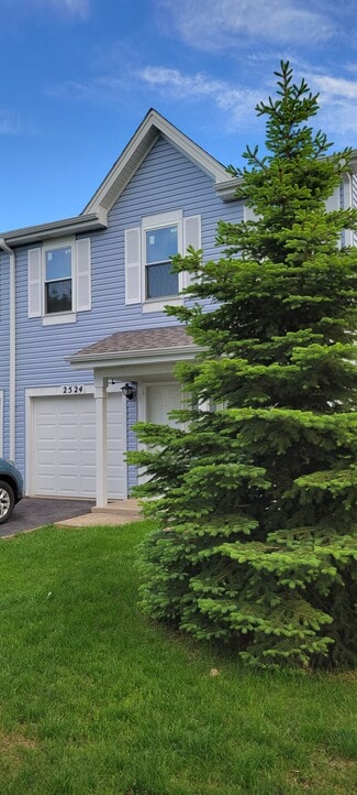 2524 Warm Springs Ln, Naperville, IL 60564