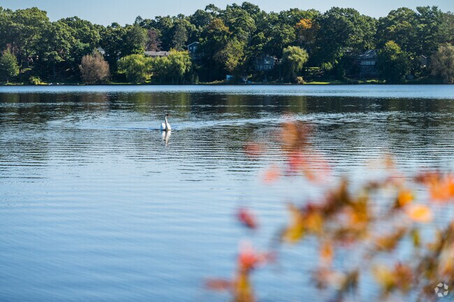 Warwick Pond offers a serene getaway located right in the middle of Hoxie