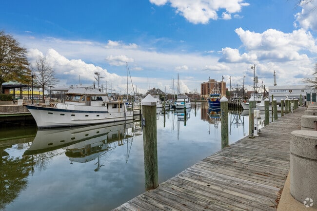 Yachts and boating docks in downtown Hampton are a sight to see any day.