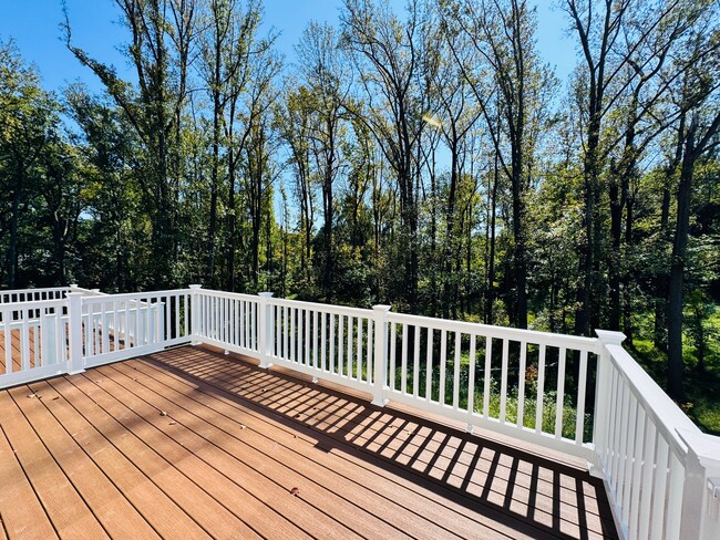 Deck with Views