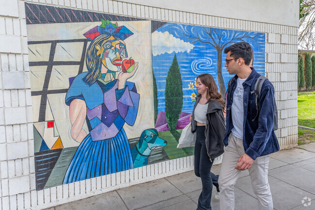Enjoy the colorful murals in Downtown Davis.