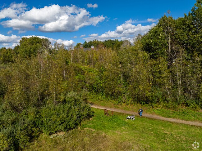 Benson Park has miles of trails which are all dog friendly.