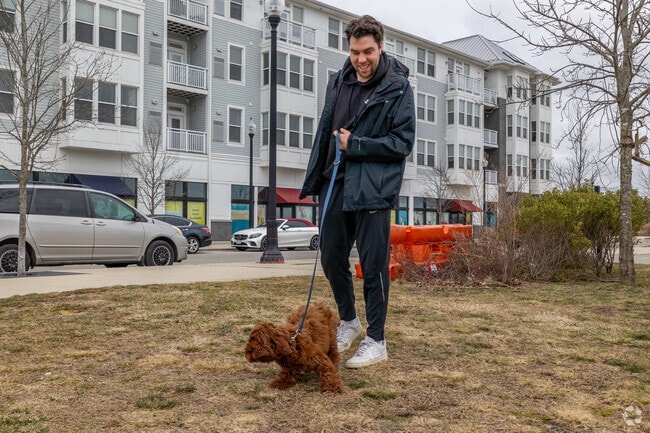 South Weymouth is a fantastic place to walk your furry friend.