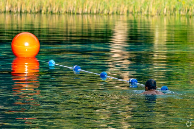 Enjoy a refreshing swim in the crystal clear water at Rainbow Springs State Park.