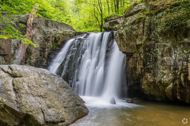 Rocks State Park Falling Branch Area has the second largest vertical drop waterfall in Maryland.
