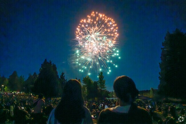 Lake Ballinger residents head to Lake Ballinger Park for 3rd of July Family Celebration.