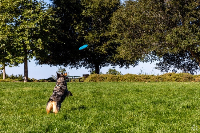 Hayward Highland is close to many parks, residents can bring their dog for a game of frisbee.