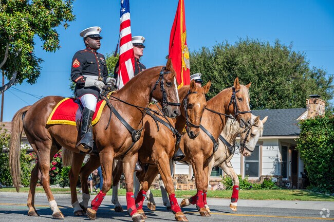 You can see the USMC Mounted Color Guard at the Tiller Days Parade.
