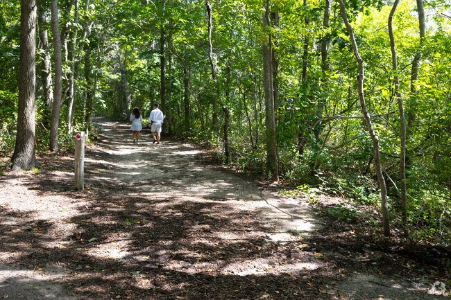 Mashomack Preserve allows visitors opportunities to take a stroll.