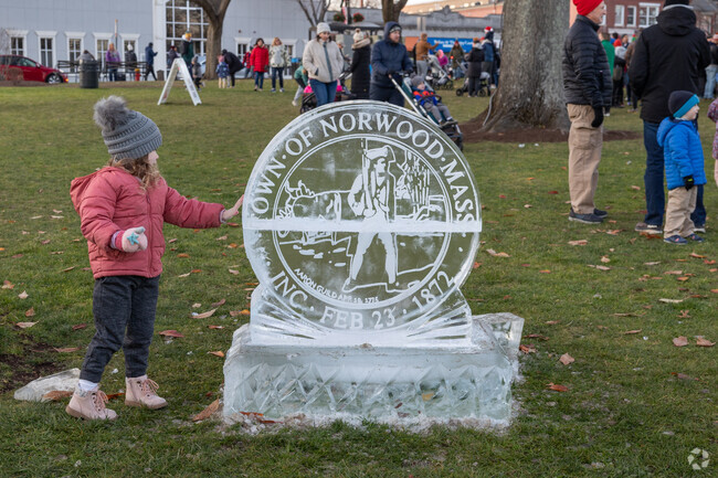 A magnificent ice sculpture greets you at the Holiday Tree Lighting in Norwood.
