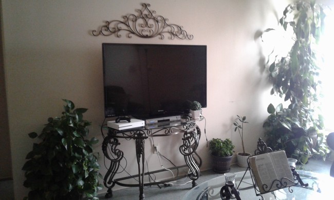 Big Screen TV