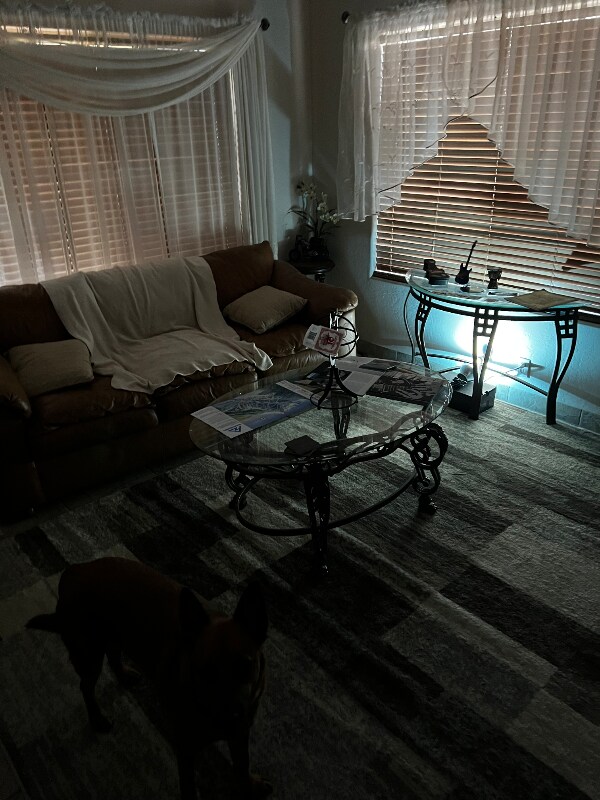 4201 E Raven Rd, Phoenix, AZ 85044 - photo 5