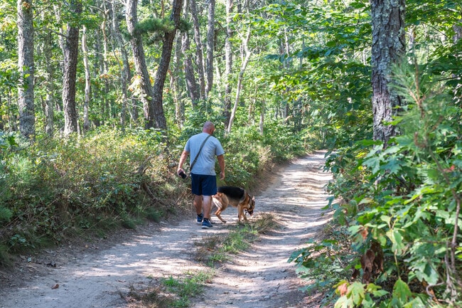 Hawksnest State Park is a great place to take your dog for a walk.