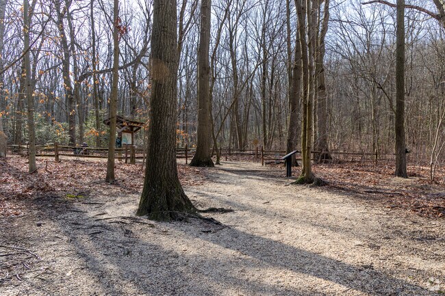 There are hiking trails throughout Hartshorne Woods in the Navesink area.
