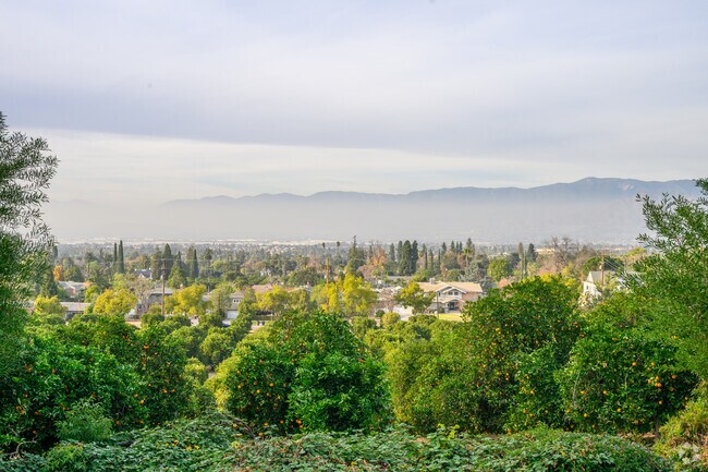 , Redlands was one of the world’s biggest producers of navel oranges.