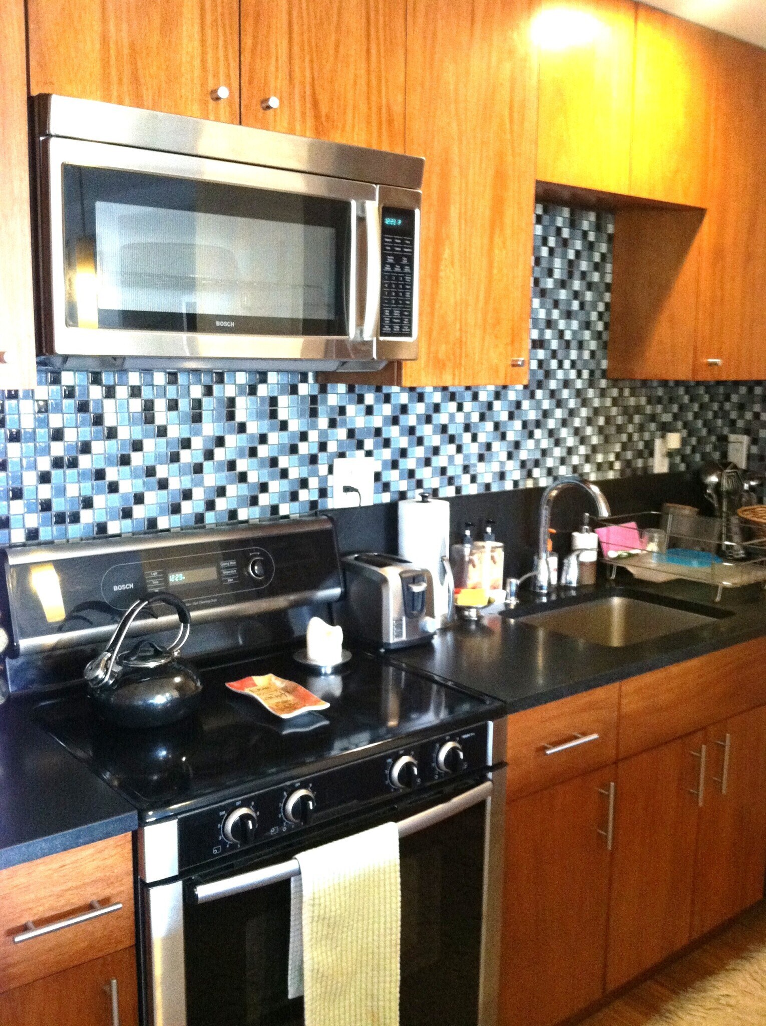 Audubon Park unit 304, Boston, MA 02215 - photo 1