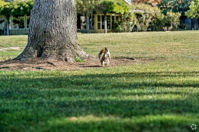 Even the wildlife love living in El Macero