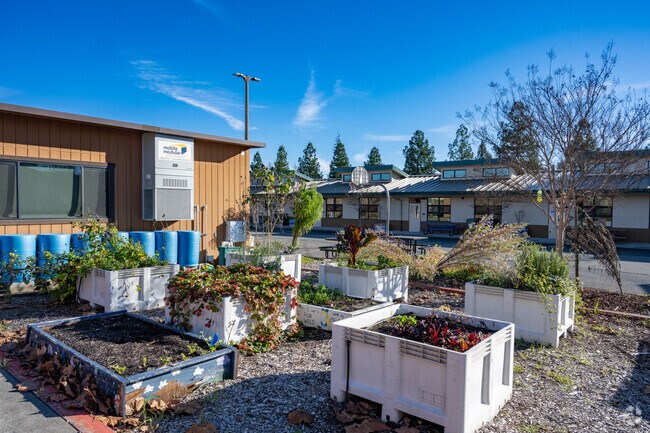 Your kids will love the garden at North Bay Met Academy.