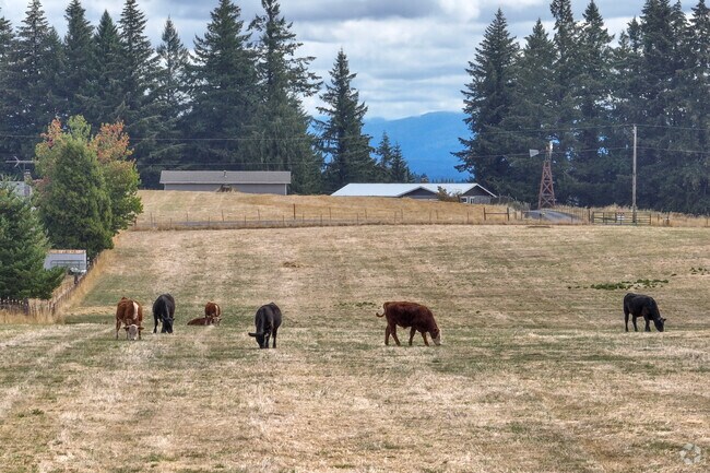Open fields and grazing cattle bring rural charm near Gaffney Lane in Oregon City.
