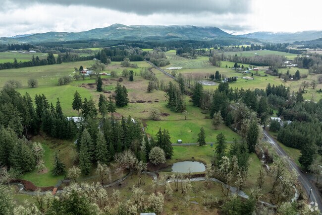 The streets of Holley are lined with fir and pine trees.