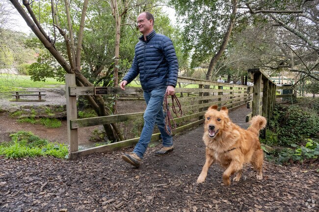 Sycamore Park residents love to walk their dogs in the tranquility of Boyle Park.