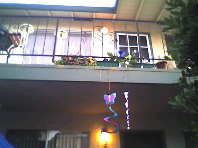 1123 Starbird Cir unit 3, San Jose, CA 95117 - photo 6