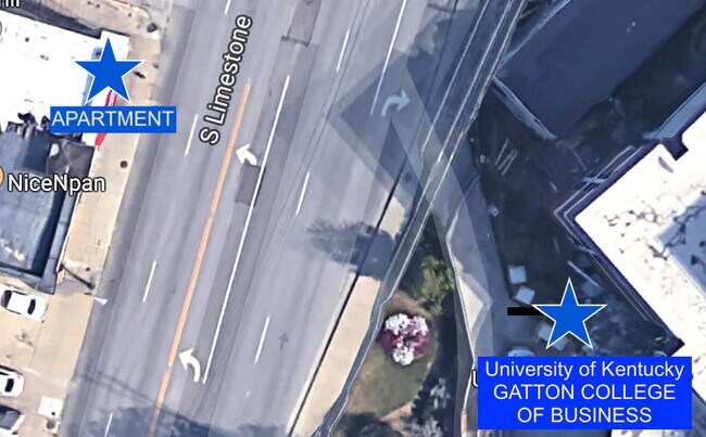 545 S Limestone unit 1, Lexington, KY 40508 - photo 7