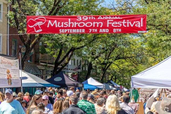 Each year the Kennett Square Mushroom Festival can see 100,000 visitors over the two days.