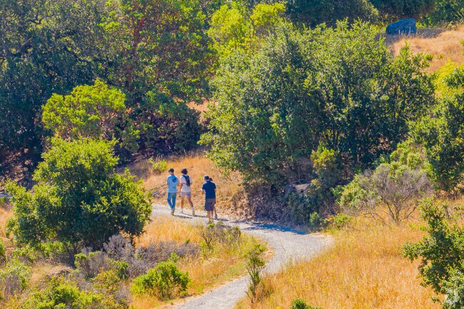People enjoy an afternoon hike in China Camp State Park.