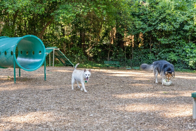 Ashford Druid Hills Dog Park offers off-leash space near Briarcliff Road.