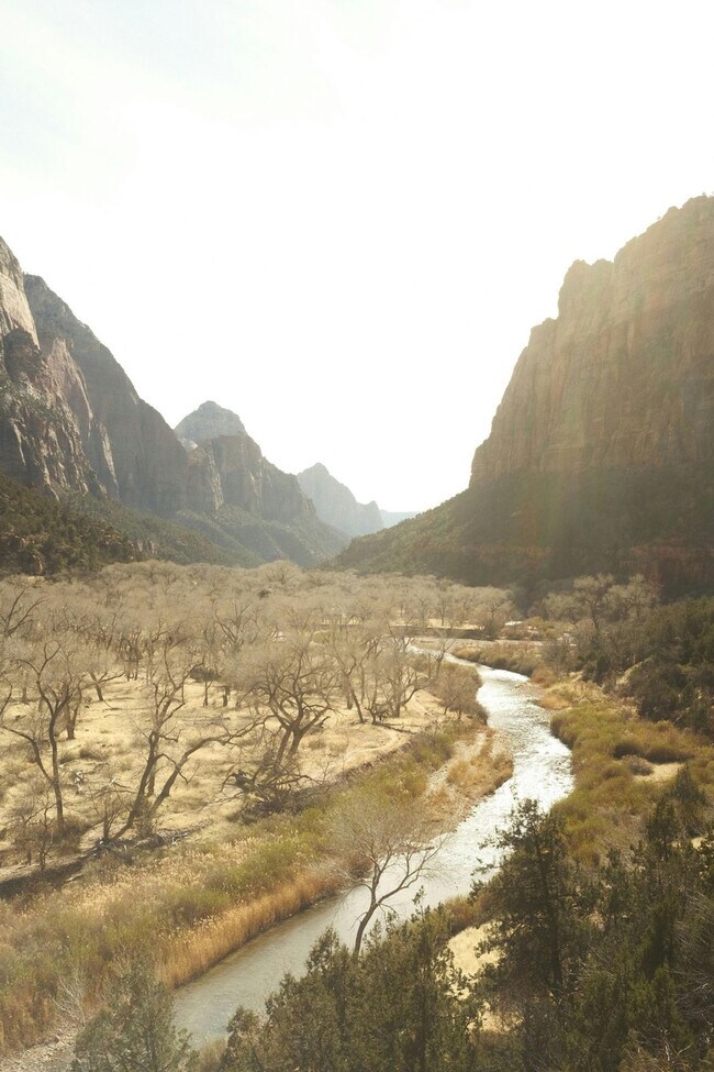 523 W Vance Dr unit ID1249895P, Kanab, UT 84741 - photo 5