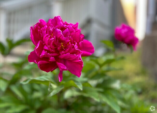 Warm weather brings bright pops of color to the Mayfield neighborhood.