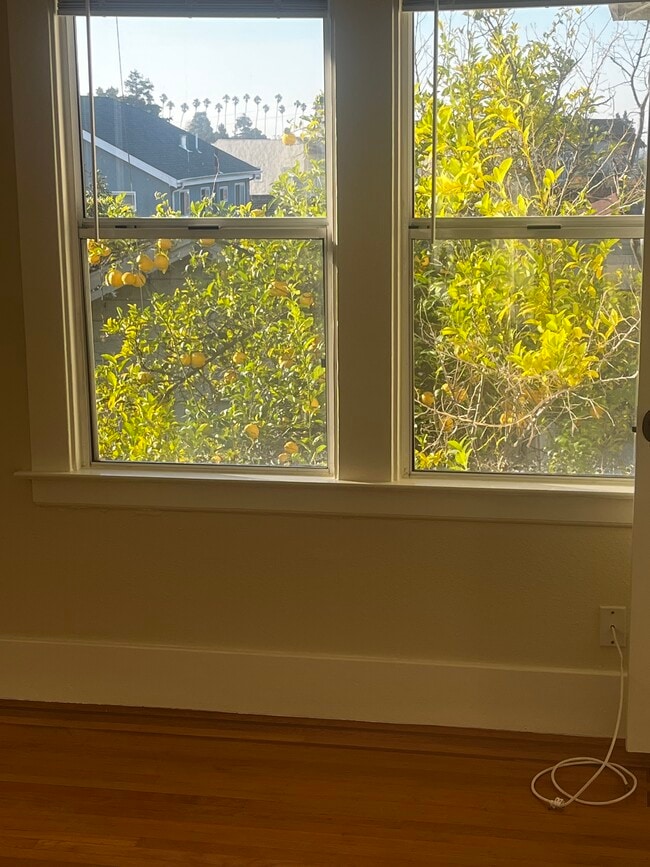 917 Macarthur Blvd, Oakland, CA 94610 - photo 4