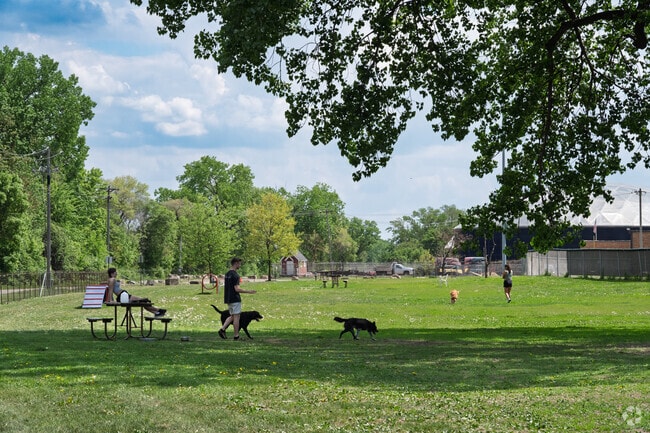 Springbrook-Clayton Johnson residents frequent the Houska Park Dog Park.