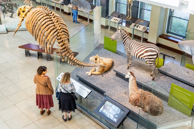 The Natural History Museum is a must see when you're near Florence.