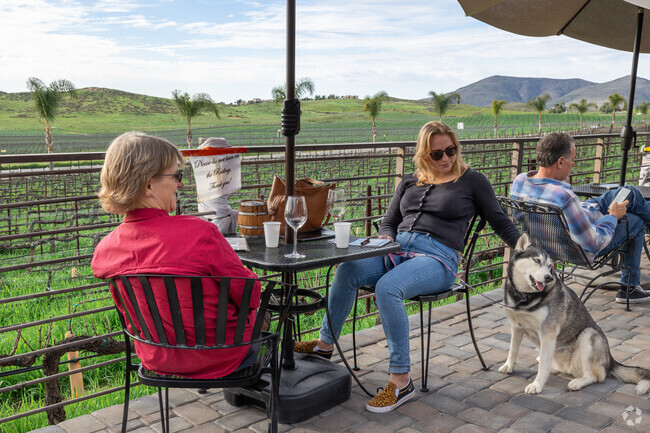 Sit on the patio overlooking the grapevines at Chapin Family Vineyards near Chardonnay Hills.