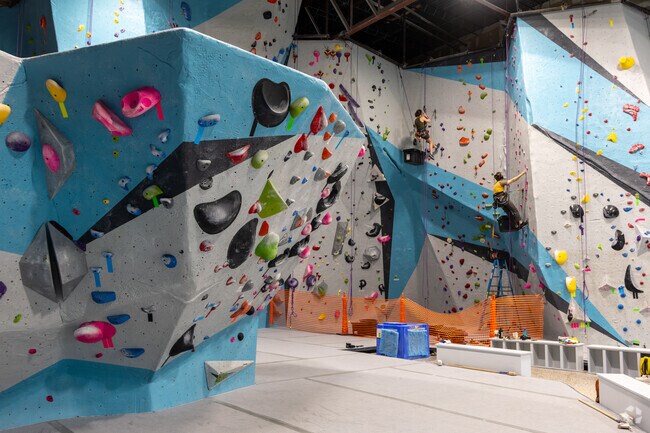 Local climb high at The Edge rock gym in Spring Park.