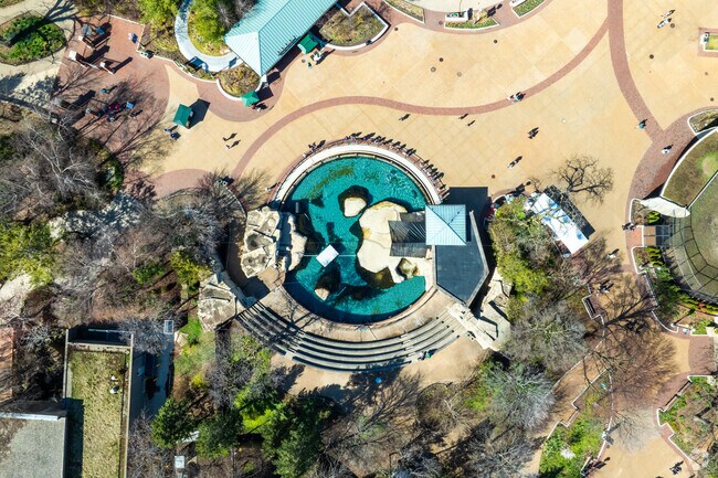 Residents of Old Town can explore Lincoln Park Zoo and its wide variety of animals.