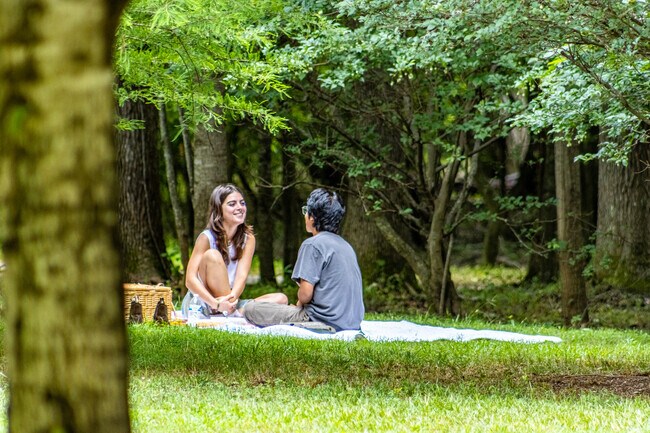 Enjoy a romantic picnic at The Big Creek Greenway in Alpharetta.